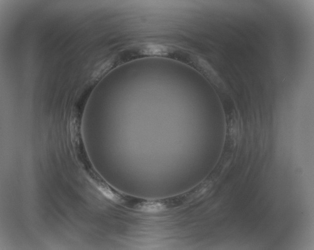 X0000080660322200612151138