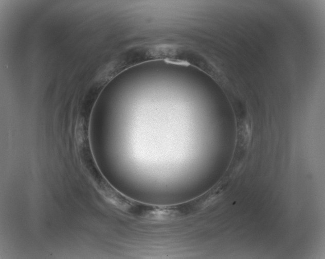 X0000080660323200612151138
