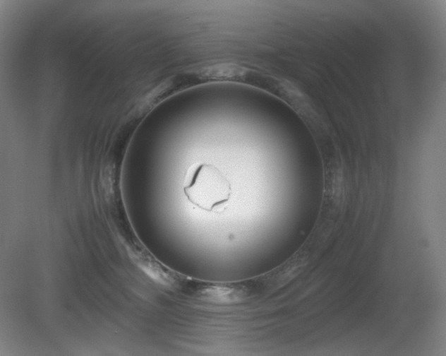 X0000080660326200612151137