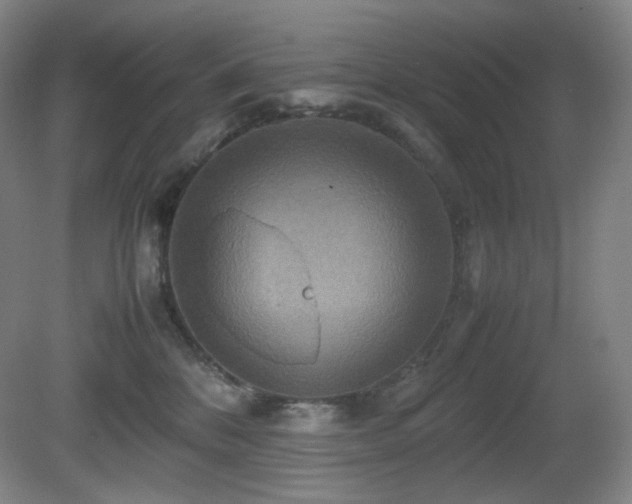 X0000080660328200612151137