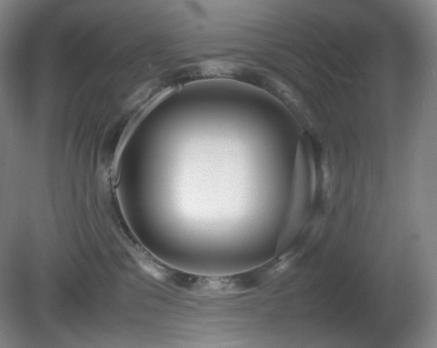 X0000080660329200612151137