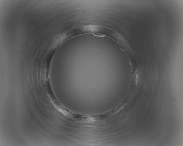 X0000080660330200612151137