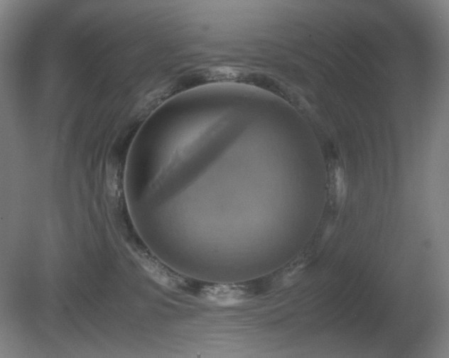 X0000080660331200612151137