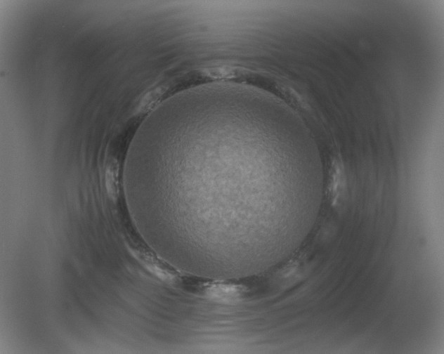X0000080660332200612151137