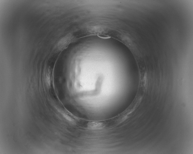 X0000080660334200612151137