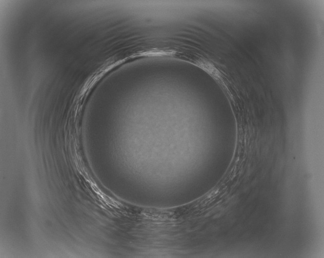 X0000080660337200612151137