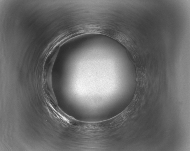 X0000080660338200612151137