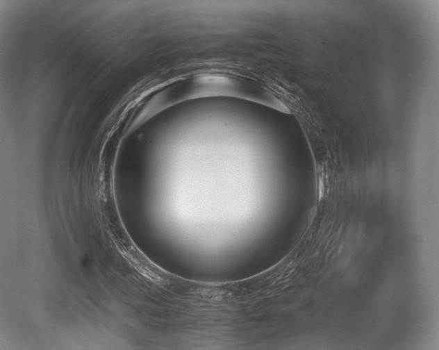 X0000080660339200612151137