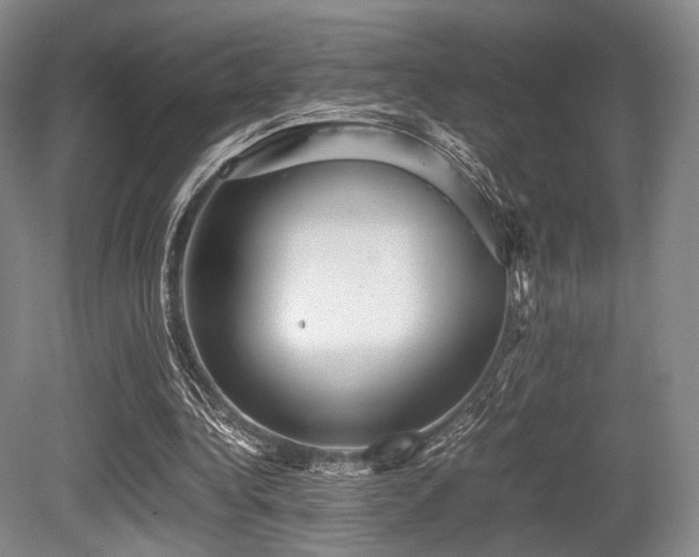 X0000080660340200612151137