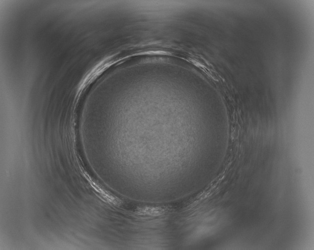 X0000080660341200612151137
