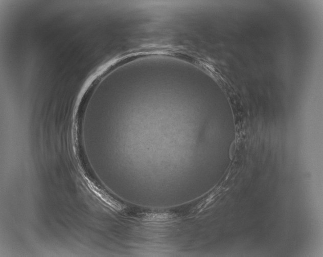 X0000080660342200612151137