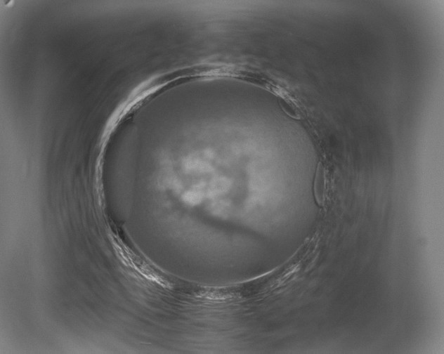 X0000080660343200612151137