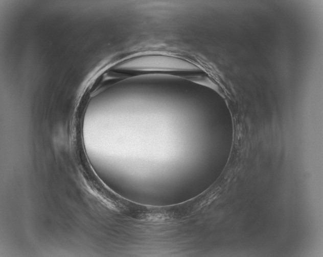 X0000080660344200612151137