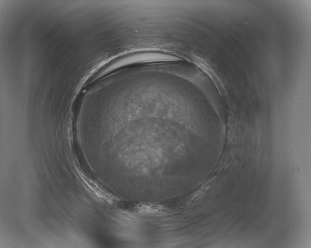 X0000080660346200612151137