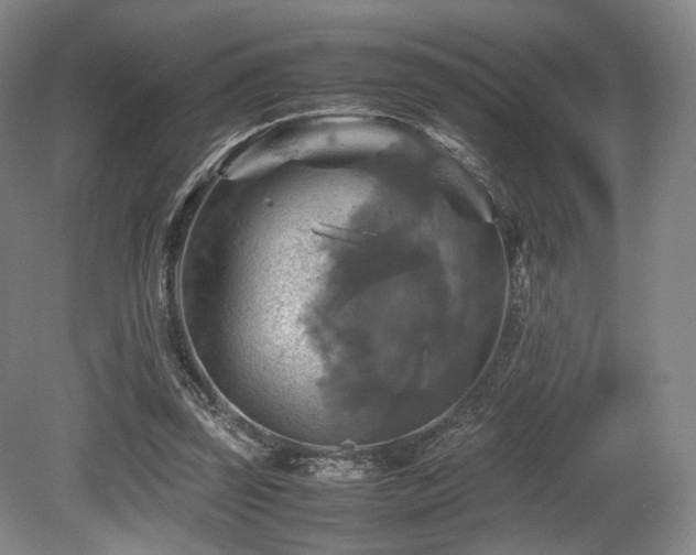 X0000080660347200612151137