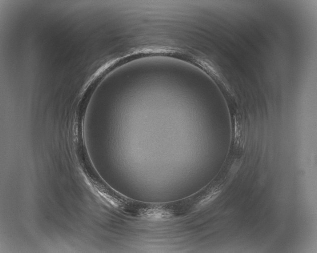 X0000080660348200612151137