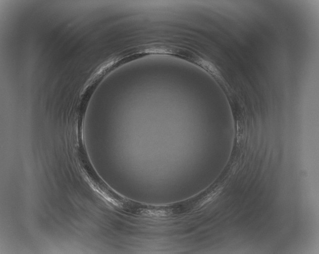 X0000080660349200612151137