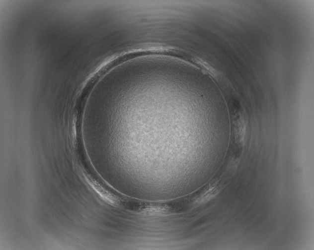 X0000080660350200612151137