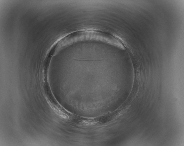 X0000080660351200612151137