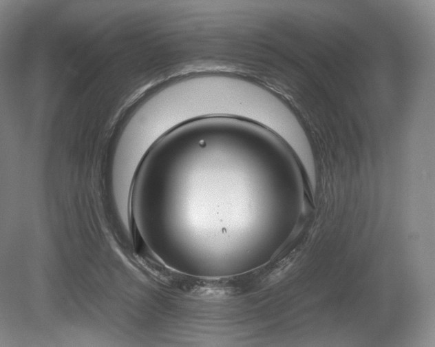 X0000080660352200612151137