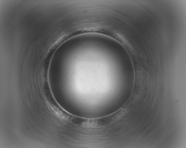 X0000080660354200612151137
