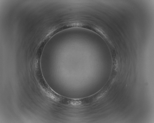 X0000080660355200612151137