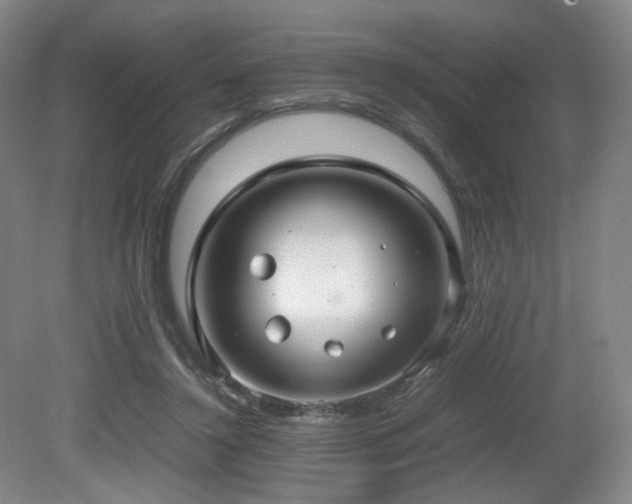 X0000080660356200612151137
