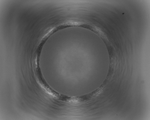 X0000080660358200612151137