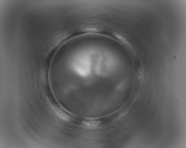 X0000080660359200612151137