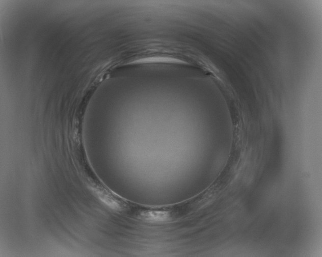 X0000080660361200612151137