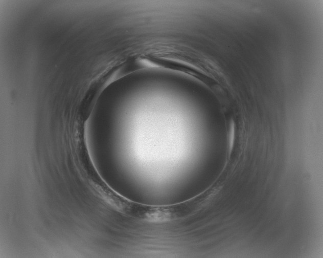 X0000080660362200612151137