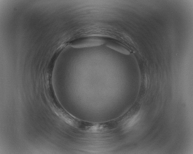 X0000080660366200612151137