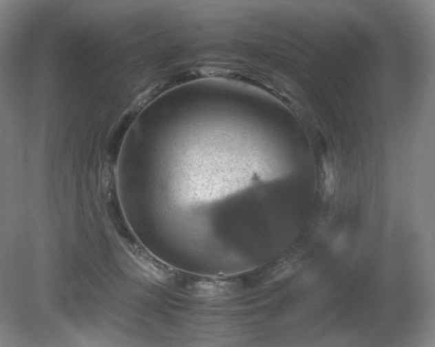 X0000080660367200612151137