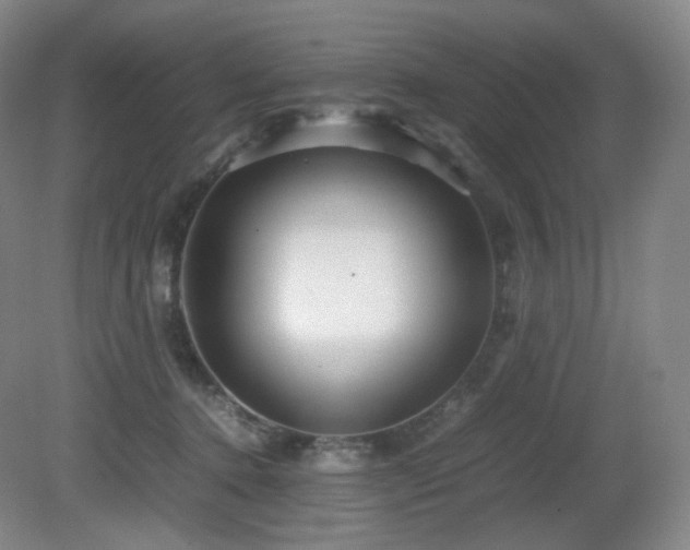 X0000080660368200612151137