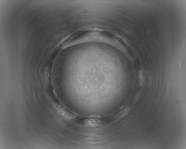 X0000080660372200612151137