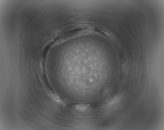 X0000080660373200612151137