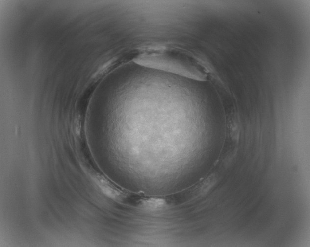 X0000080660374200612151137