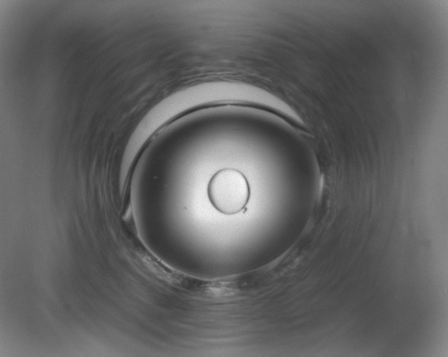 X0000080660376200612151137