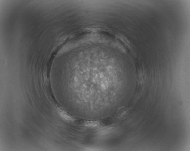 X0000080660377200612151137