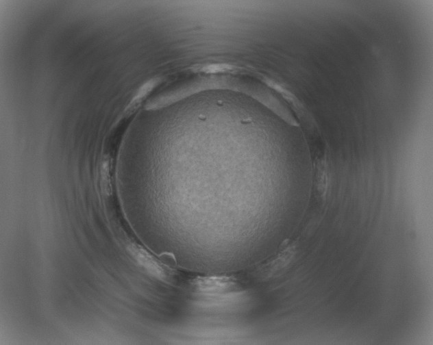X0000080660378200612151137