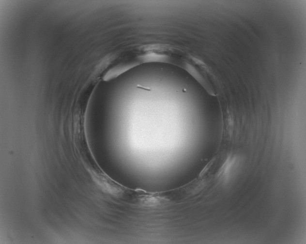 X0000080660379200612151137