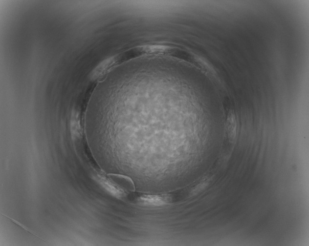 X0000080660381200612151137