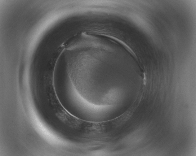 X0000080660383200612151137