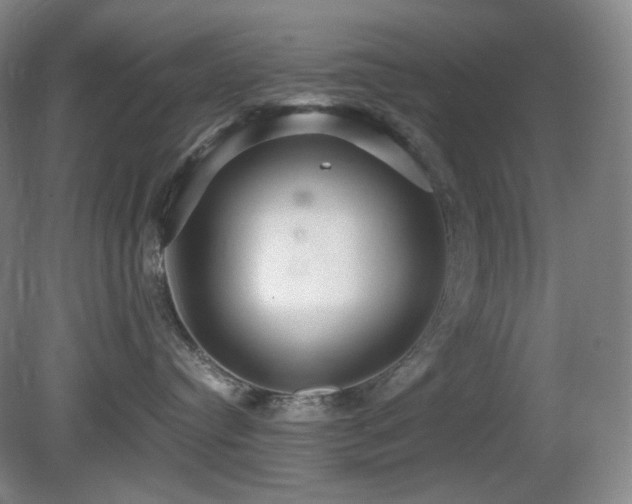 X0000080660384200612151137