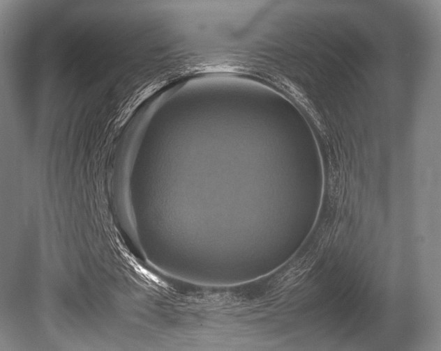 X0000080660385200612151137