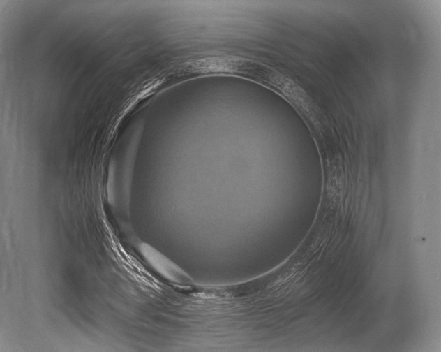 X0000080660386200612151136