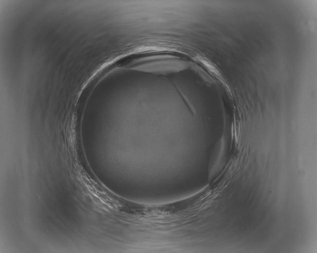 X0000080660387200612151136