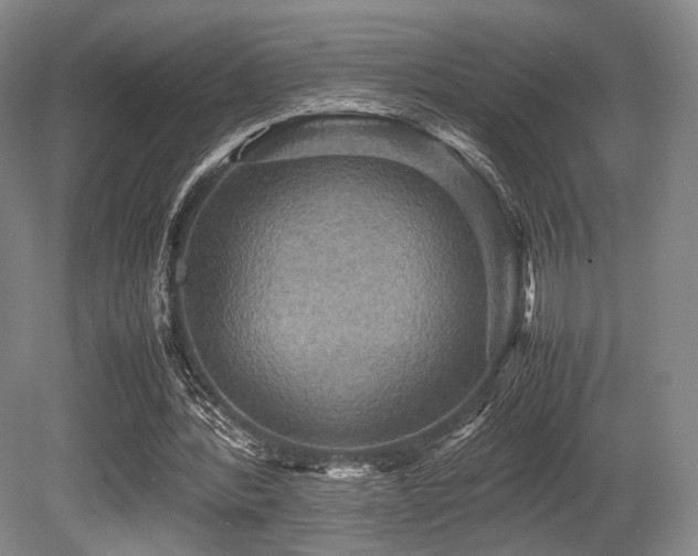 X0000080660388200612151136