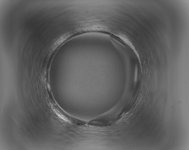 X0000080660389200612151136