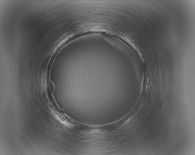 X0000080660390200612151136